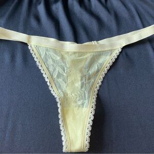 Rare Sheer Mesh V-String Very Sexy Thong Panty Vintage Underwear Panties Small